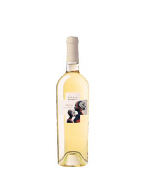 Produktbild Malvasia von Schola Sarmenti