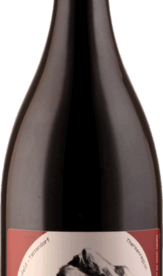 Produktbild Sankt Laurent 2022 Magnum von Gratus Weinwerkstatt